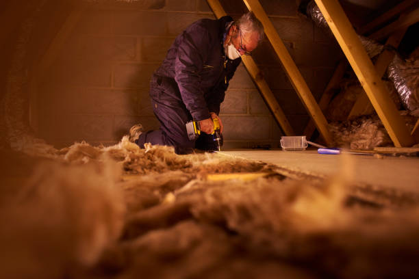 Types of Insulation We Offer in Orono, MN