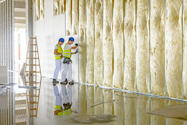 Best Insulation Air Sealing  in Orono, MN